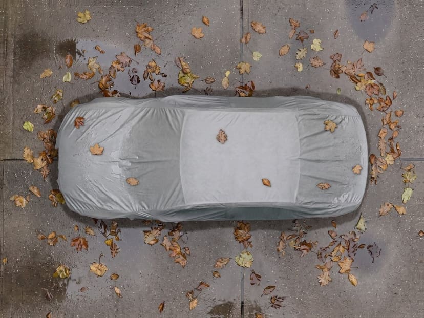 Top-down view of a light grey cover fitted over a car on pavement with fallen autumn leaves.